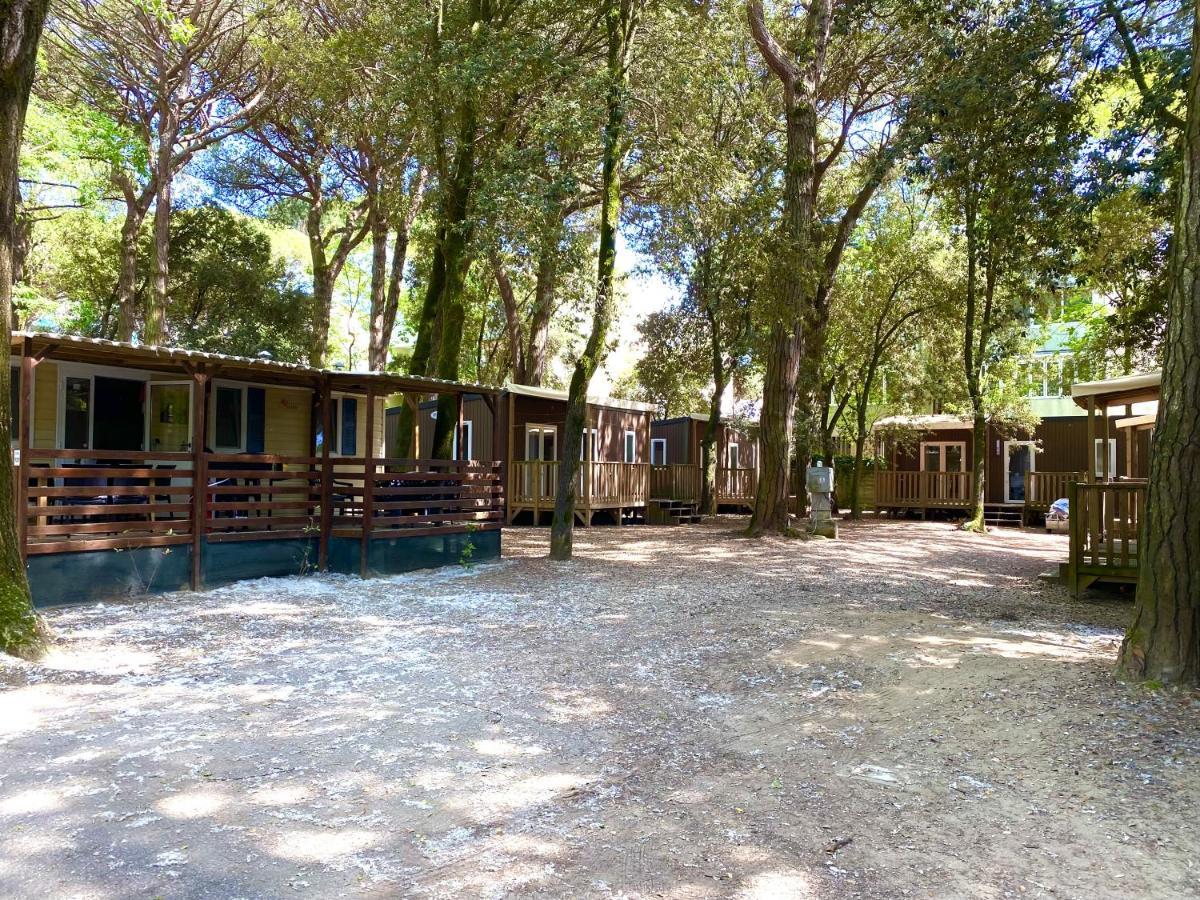 Dena Chalets - Lido Di Spina At The Beach Εξωτερικό φωτογραφία